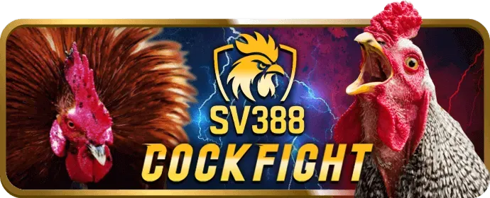 Game thủ chuyên nghiệp đang thi đấu eSports trên máy tính, biểu tượng cho cá cược eSports 555win nhà cái